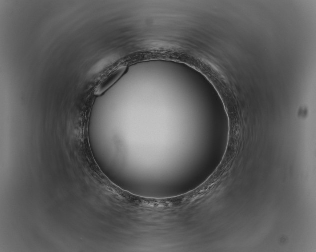 X0000091590869200708201228