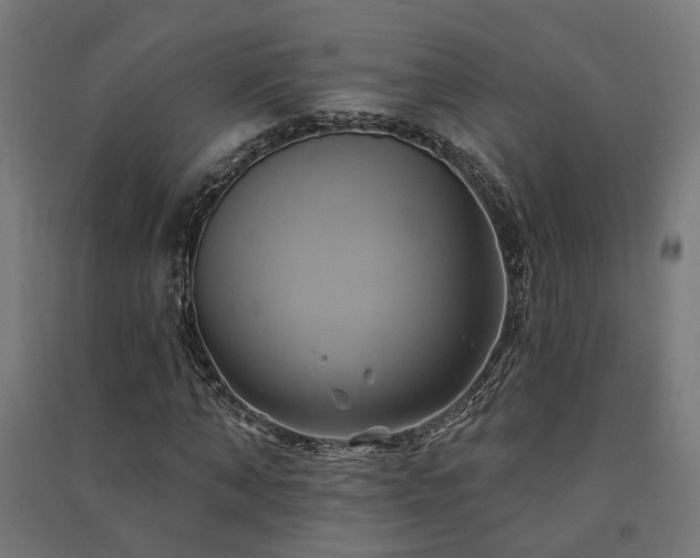 X0000091590870200708201228