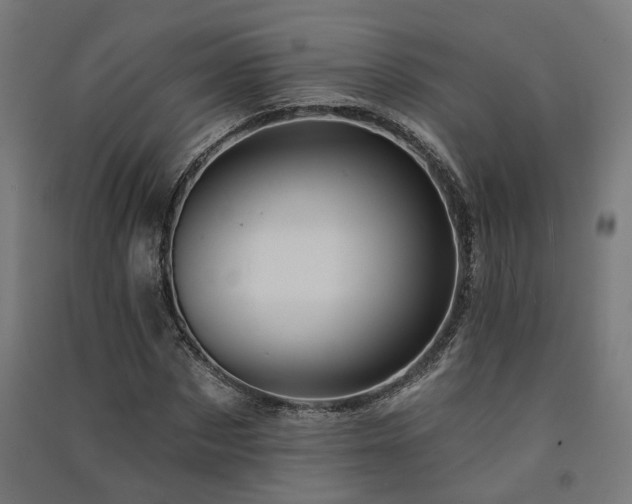 X0000091590873200708201228