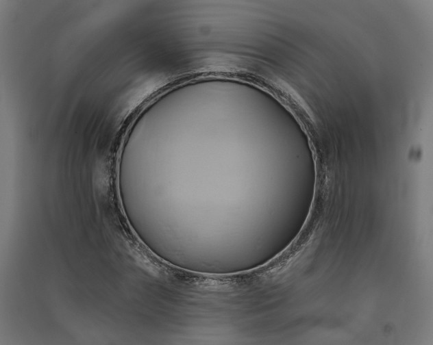 X0000091590874200708201227