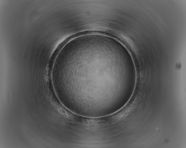 X0000091590875200708201227