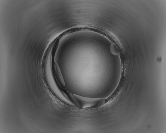 X0000091590876200708201227