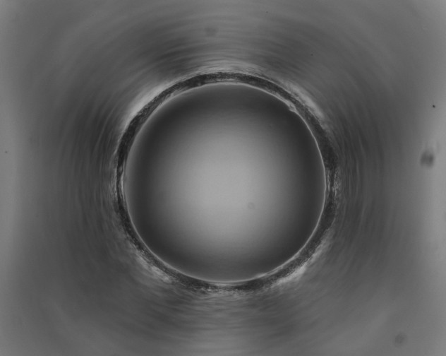X0000091590877200708201227