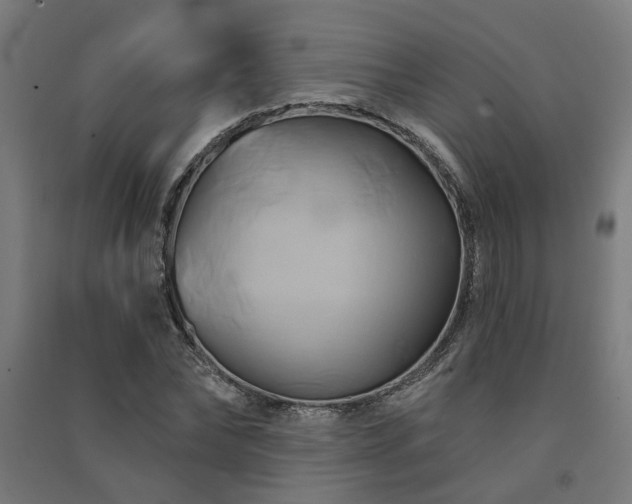 X0000091590878200708201227