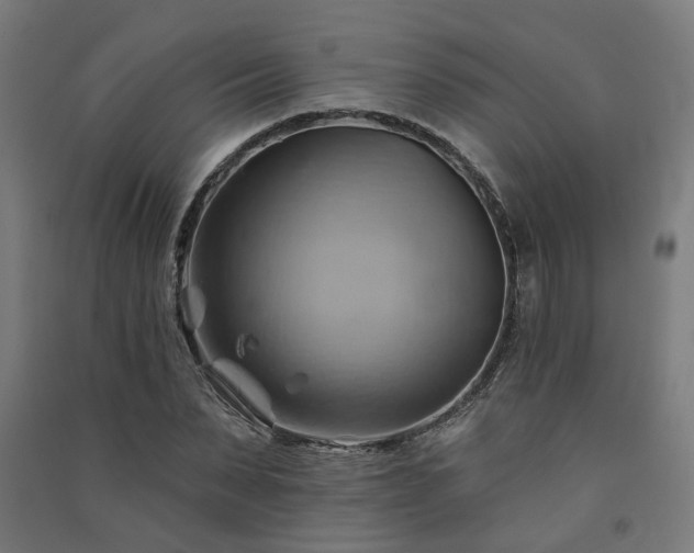 X0000091590879200708201227