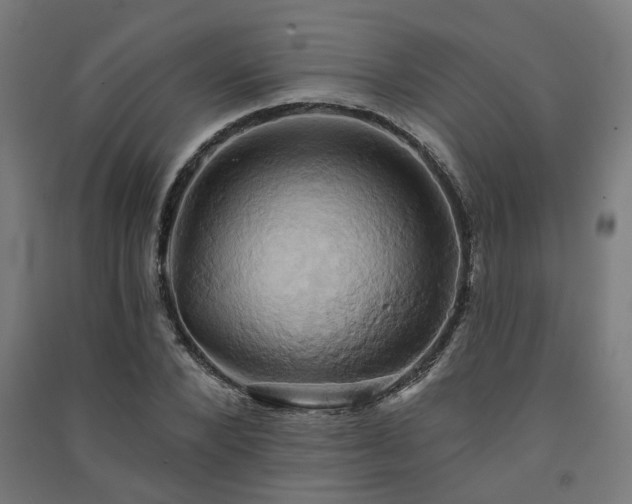 X0000091590880200708201227