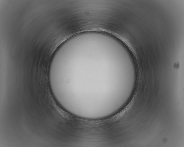 X0000091590881200708201227