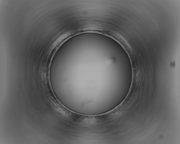 X0000091590882200708201227