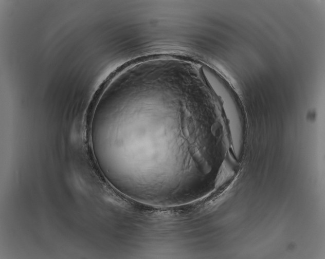 X0000091590883200708201227