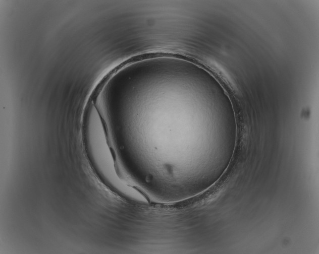 X0000091590884200708201227