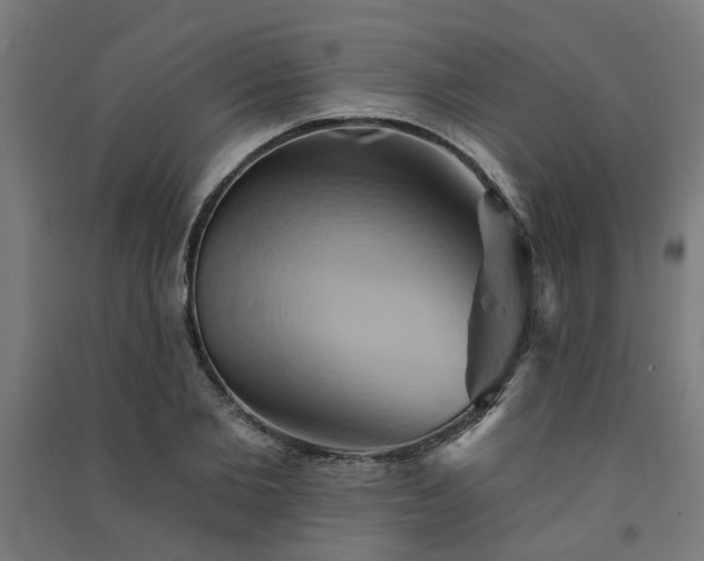 X0000091590885200708201227