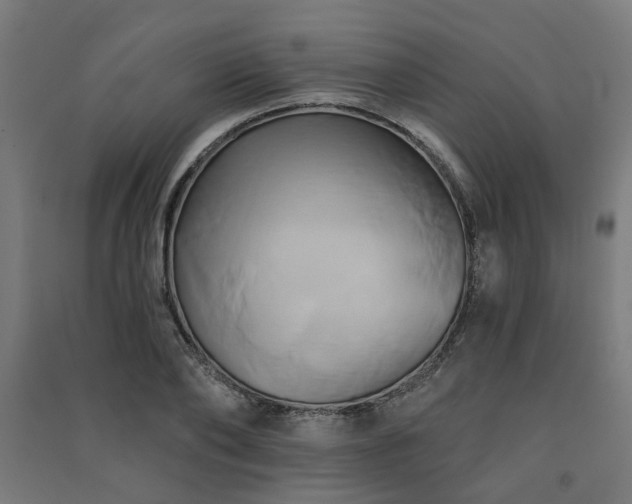 X0000091590886200708201227