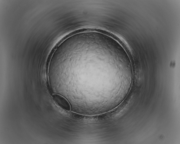 X0000091590887200708201227