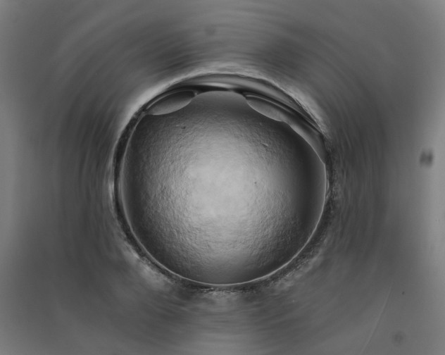 X0000091590888200708201227