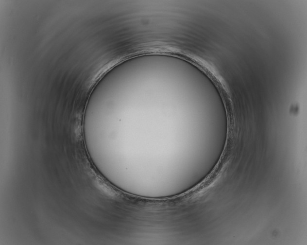 X0000091590889200708201227
