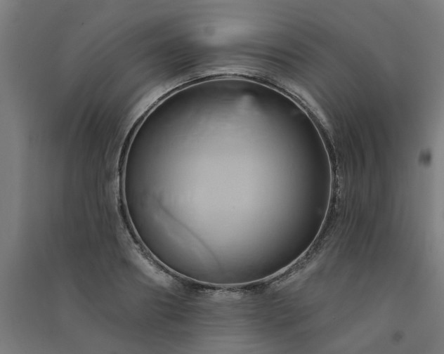 X0000091590890200708201227