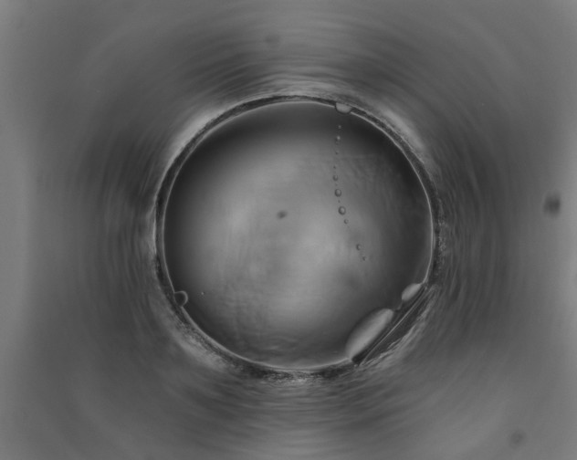 X0000091590891200708201227