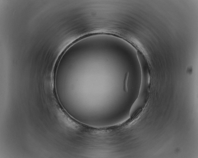 X0000091590892200708201227