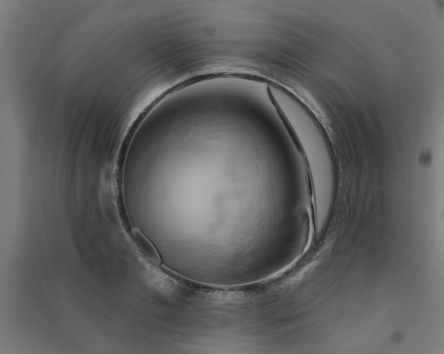 X0000091590893200708201227