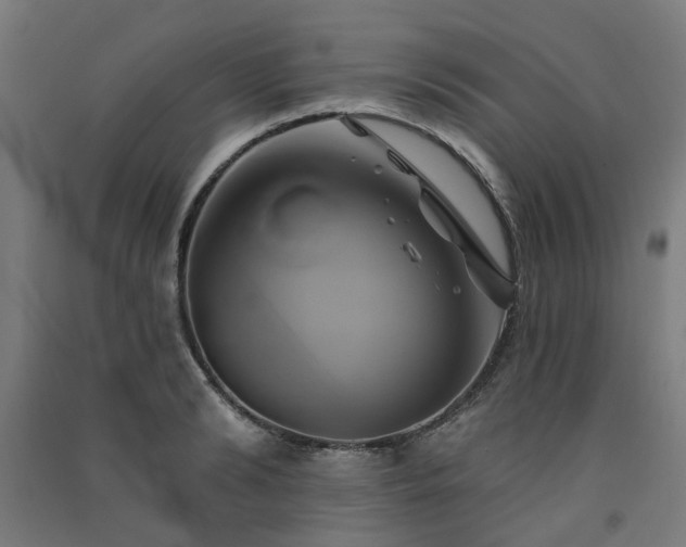 X0000091590894200708201227