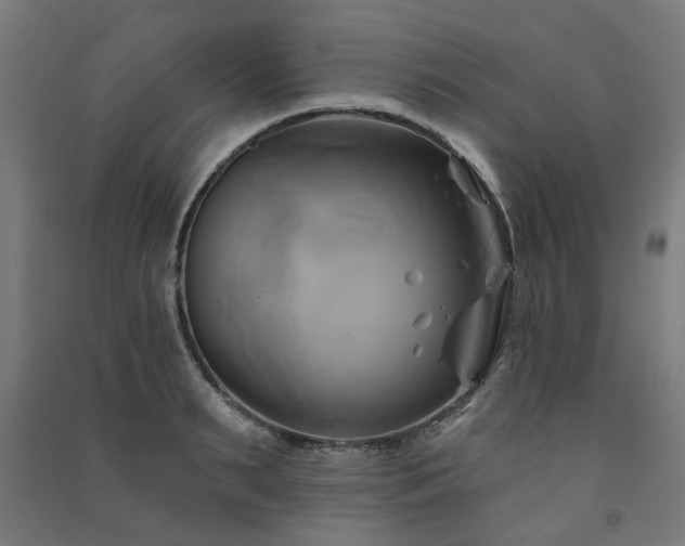 X0000091590895200708201227