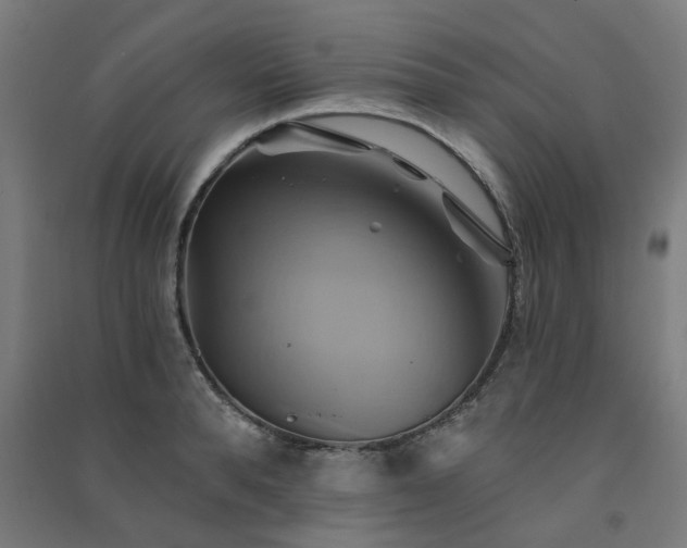 X0000091590896200708201227