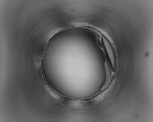 X0000091590897200708201227