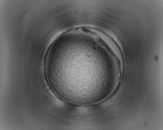 X0000091590898200708201227
