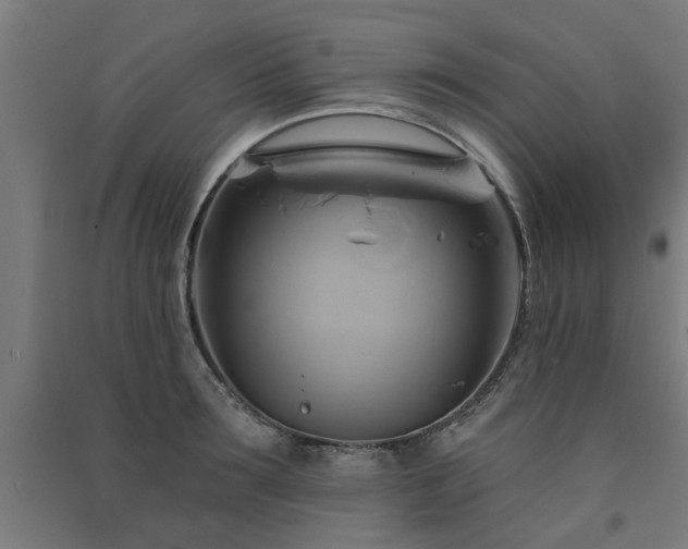 X0000091590899200708201227