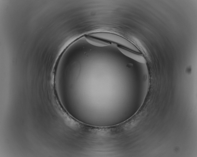 X0000091590900200708201227