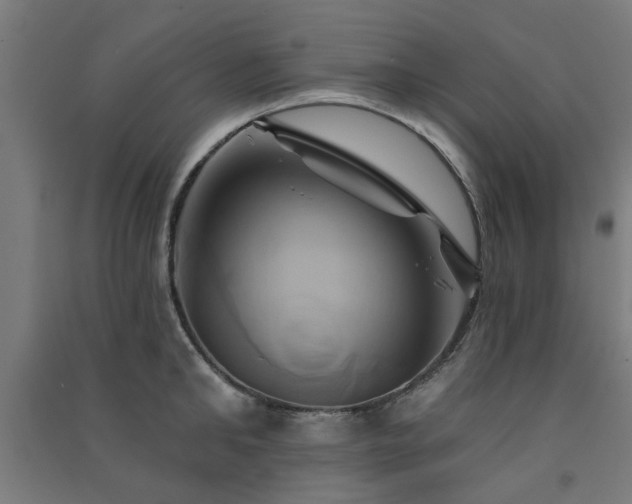X0000091590902200708201227