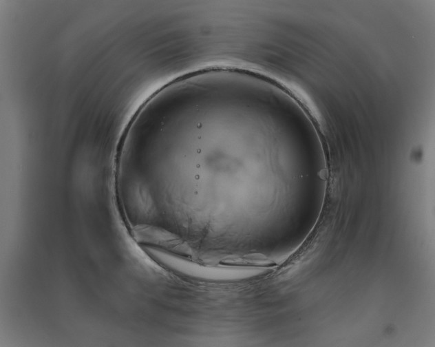 X0000091590903200708201227