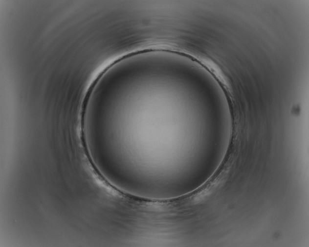 X0000091590904200708201227