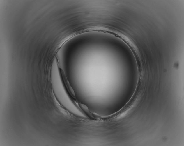 X0000091590905200708201227