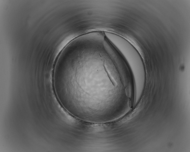X0000091590906200708201227
