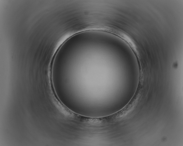 X0000091590907200708201227