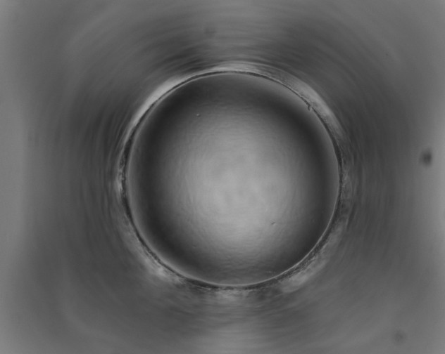 X0000091590908200708201227