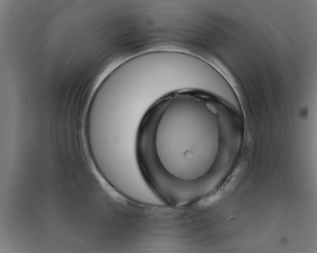 X0000091590909200708201227