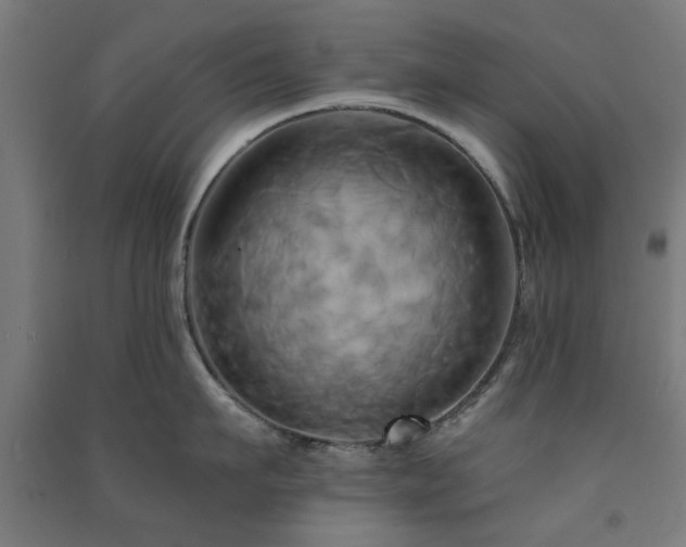 X0000091590911200708201227