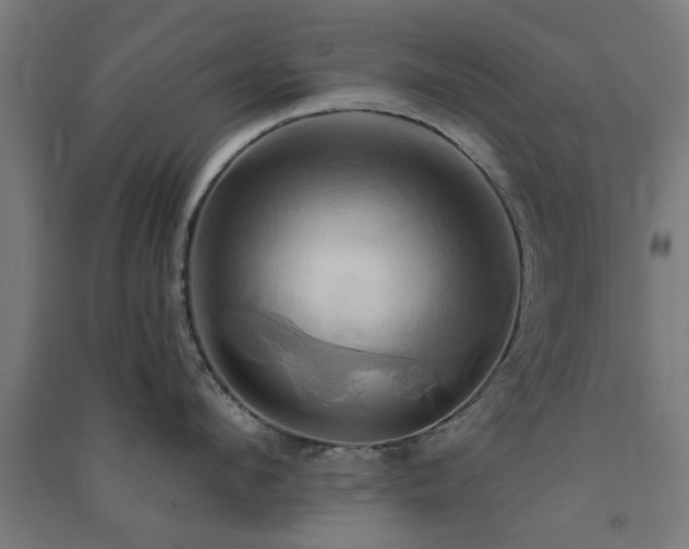 X0000091590912200708201227