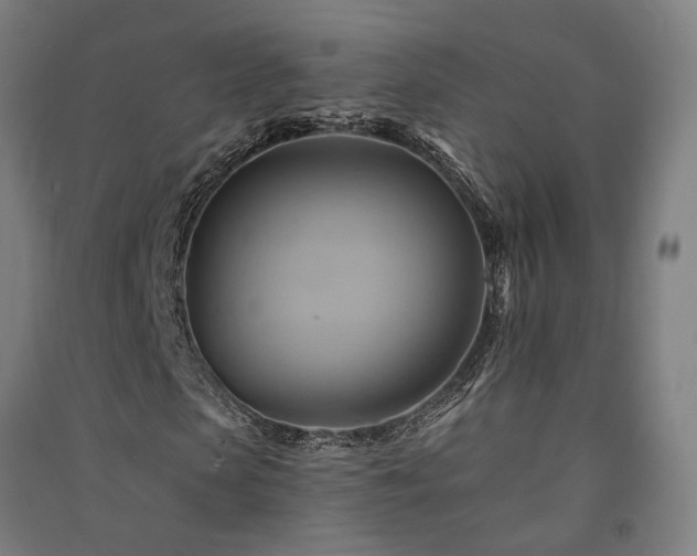 X0000091590913200708201226