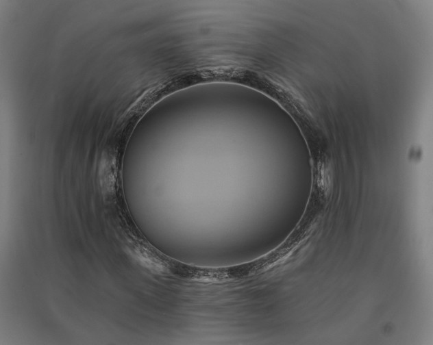 X0000091590915200708201226
