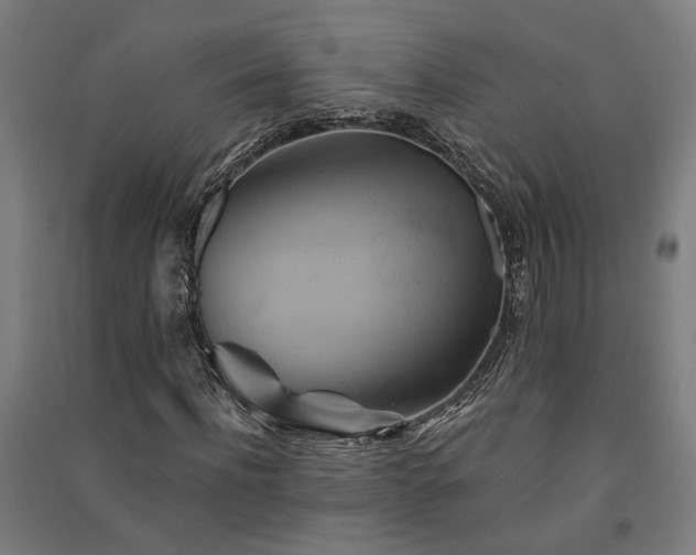 X0000091590916200708201226