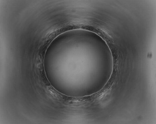 X0000091590917200708201226