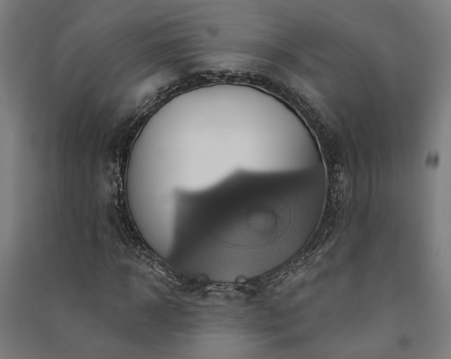 X0000091590918200708201226