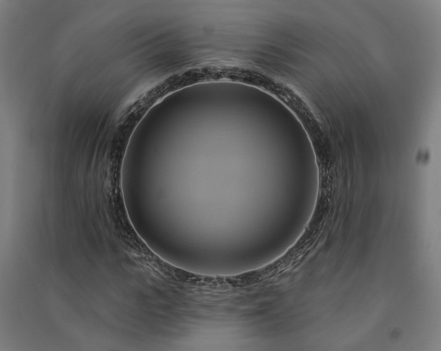 X0000091590919200708201226