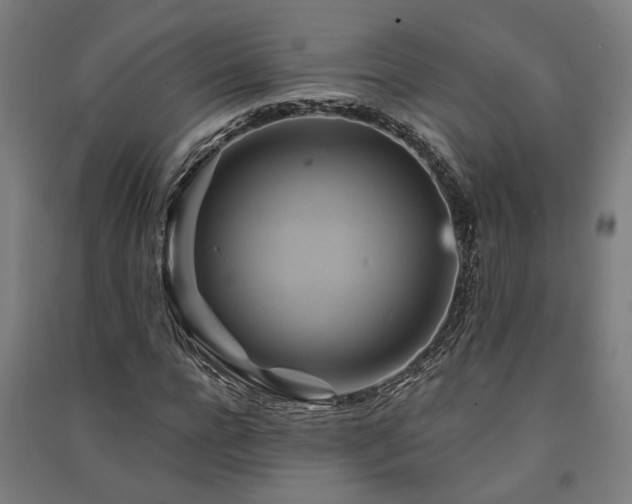 X0000091590920200708201226