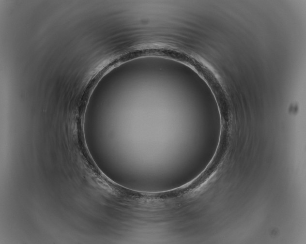 X0000091590921200708201226
