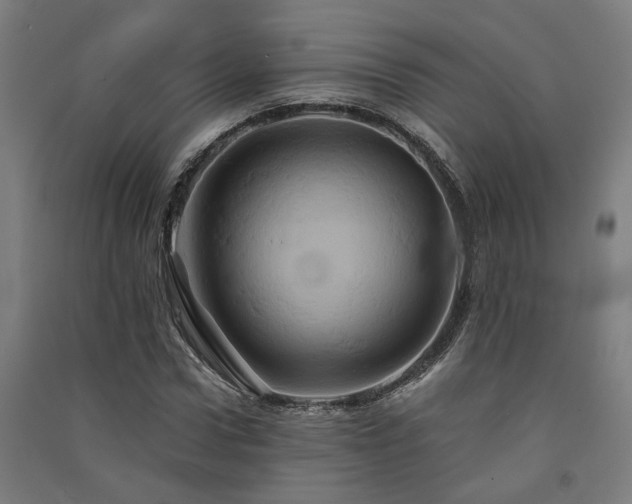 X0000091590922200708201226