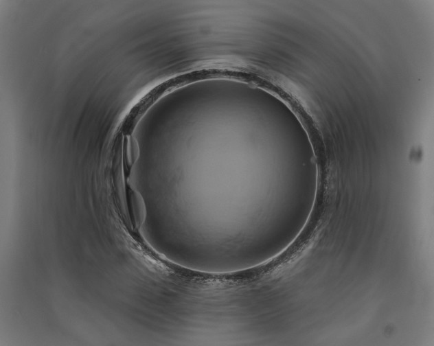 X0000091590923200708201226